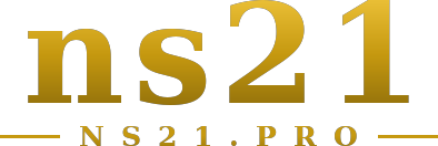 ns21 logo